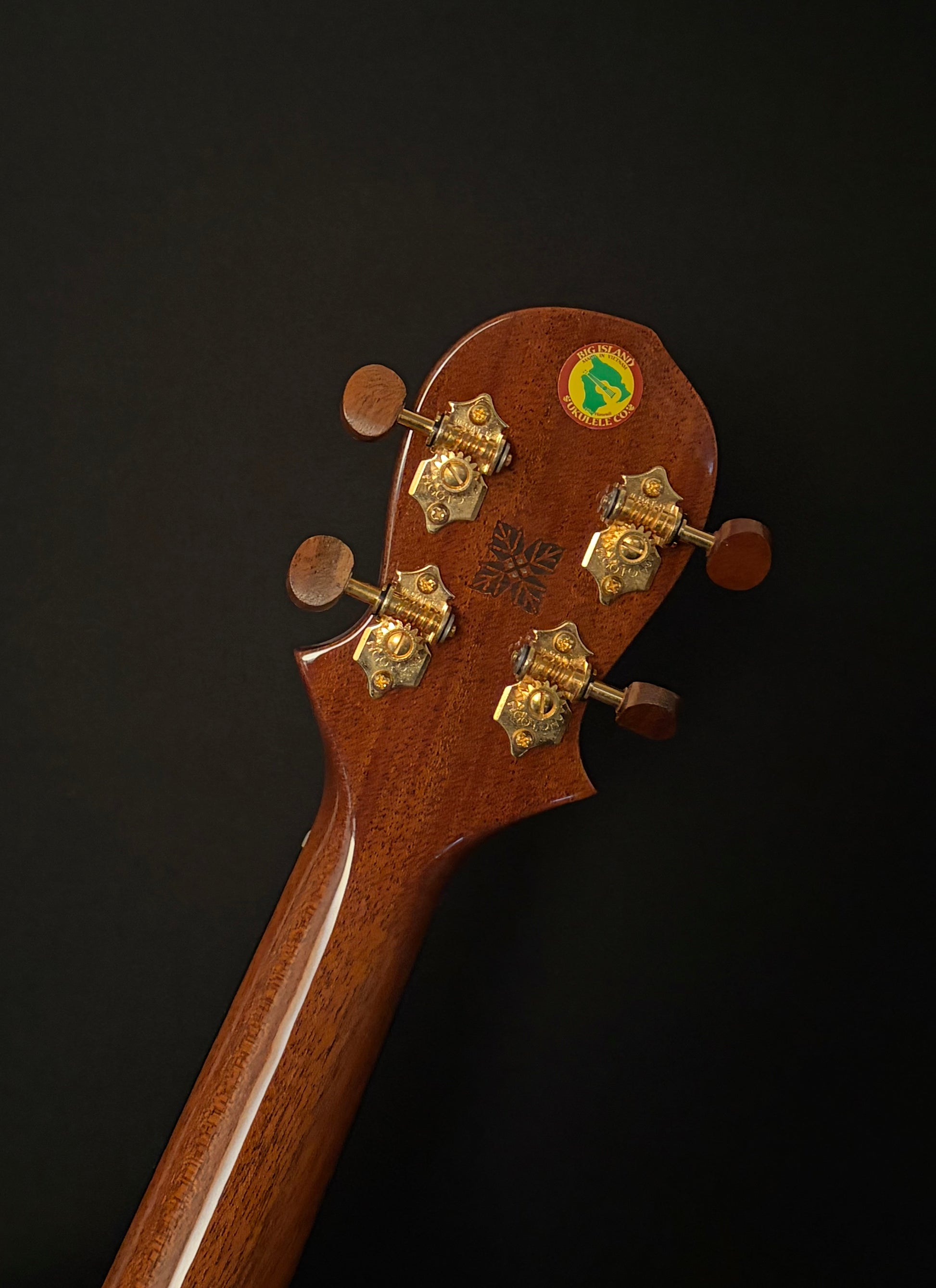 【Big Island】DX HONU コンサート