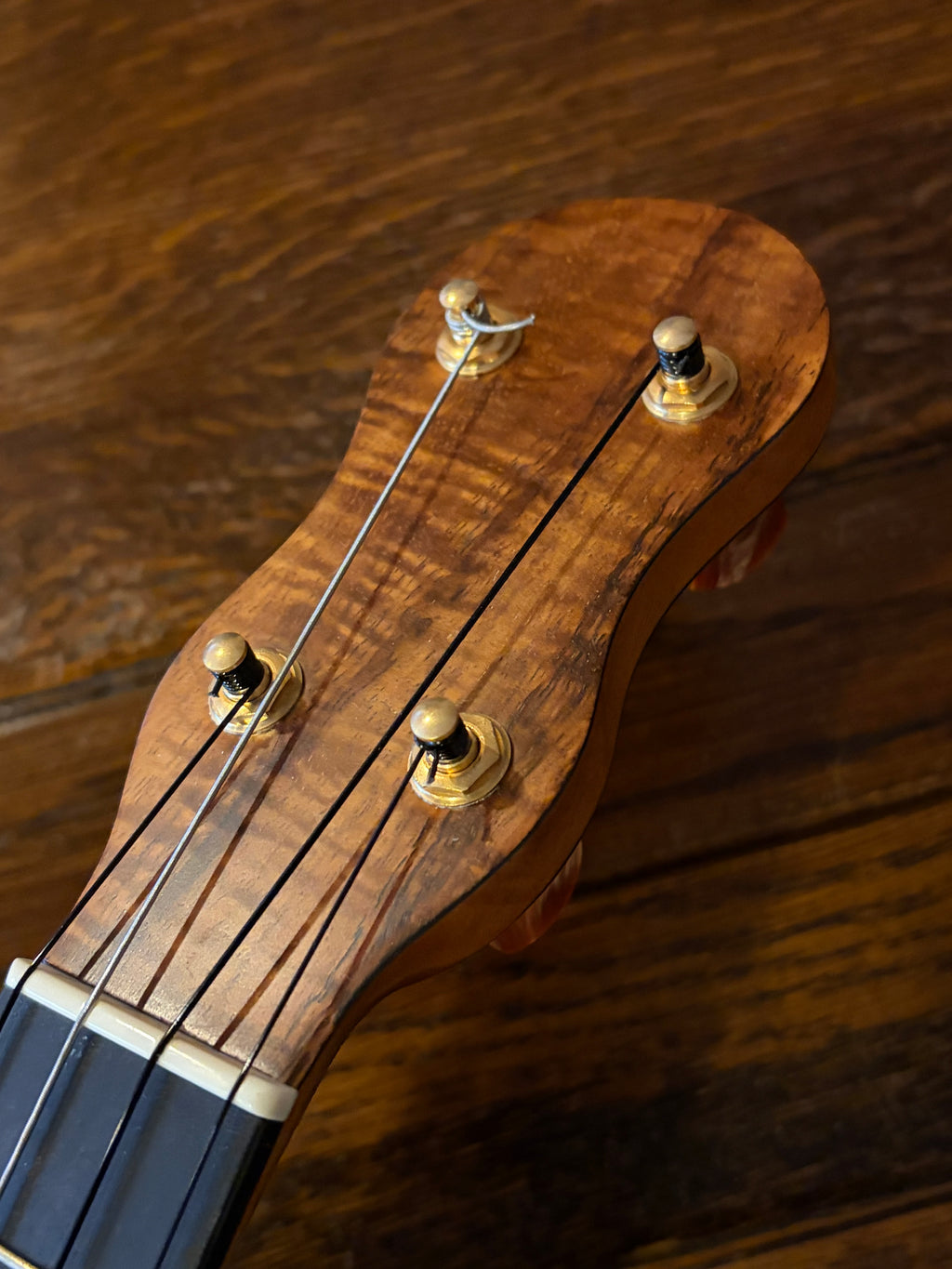 【DAISAKU GUITARS】 Renaissance Tenor Premium/Bowlback