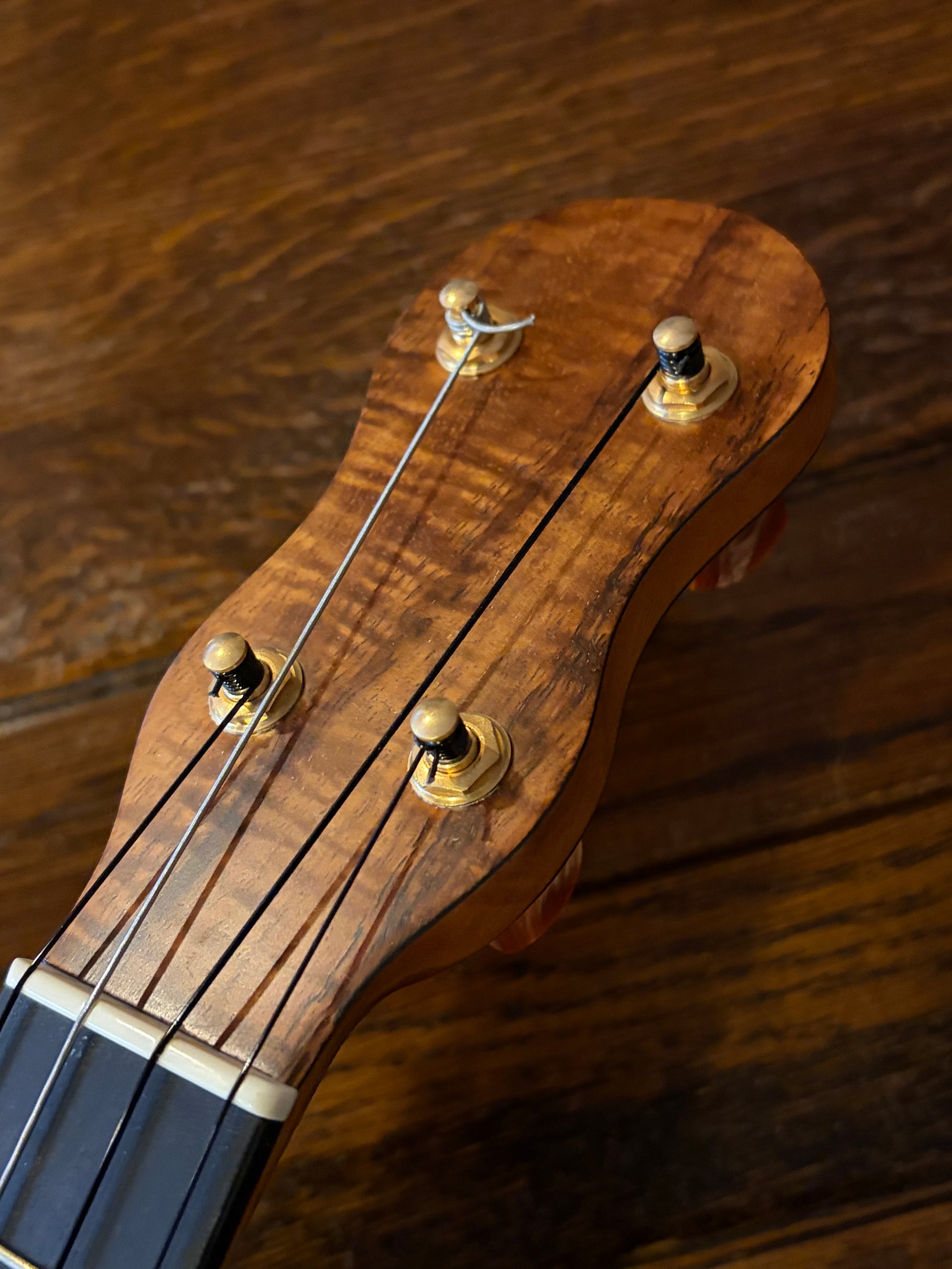【DAISAKU GUITARS】 Renaissance Tenor Premium/Bowlback