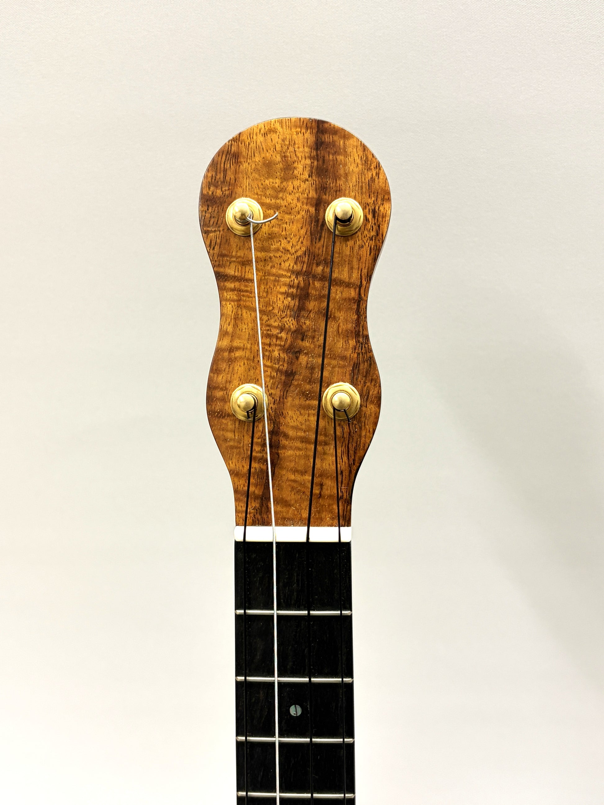 【DAISAKU GUITARS】 Renaissance Tenor Premium/Bowlback