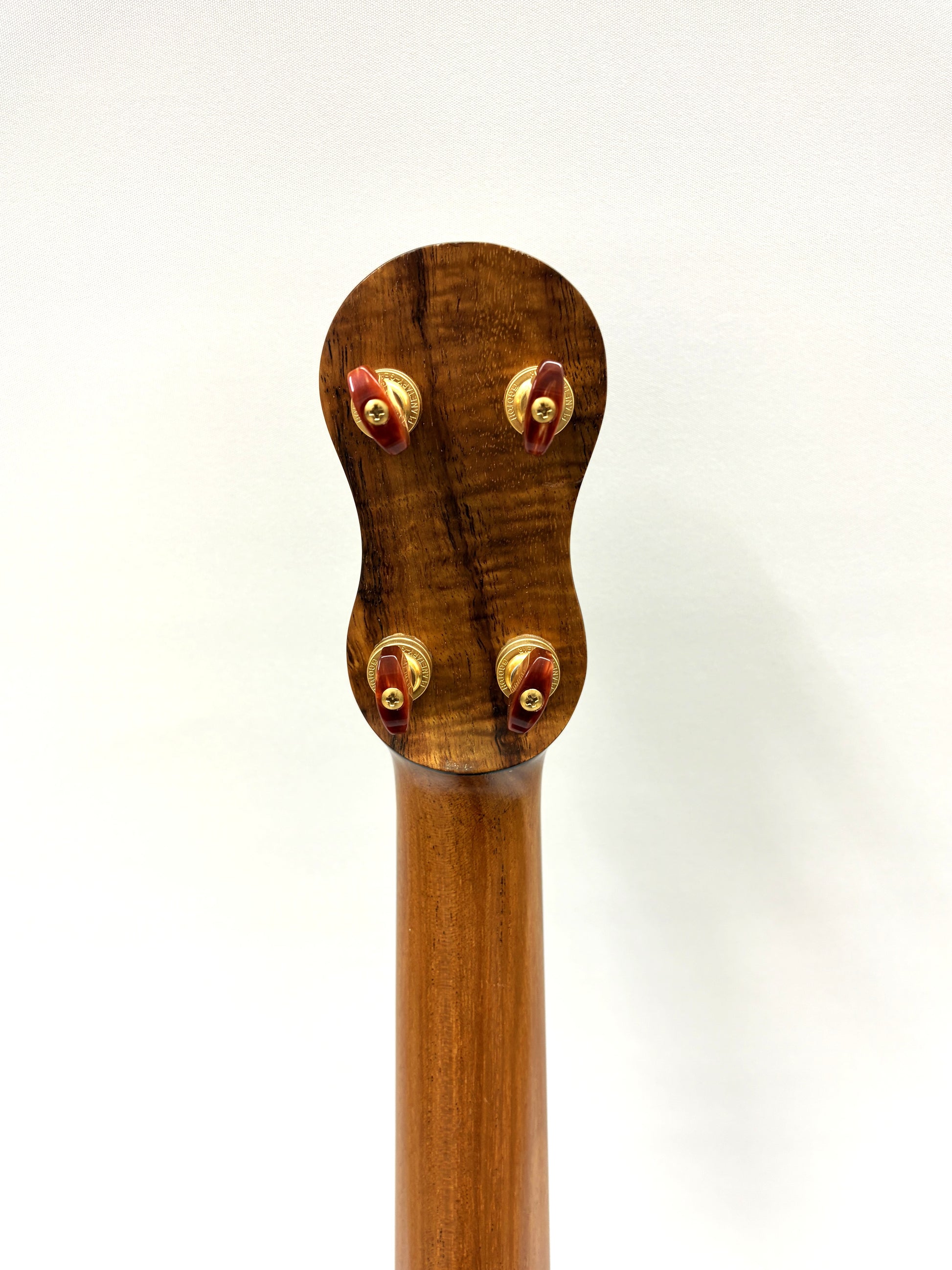 【DAISAKU GUITARS】 Renaissance Tenor Premium/Bowlback