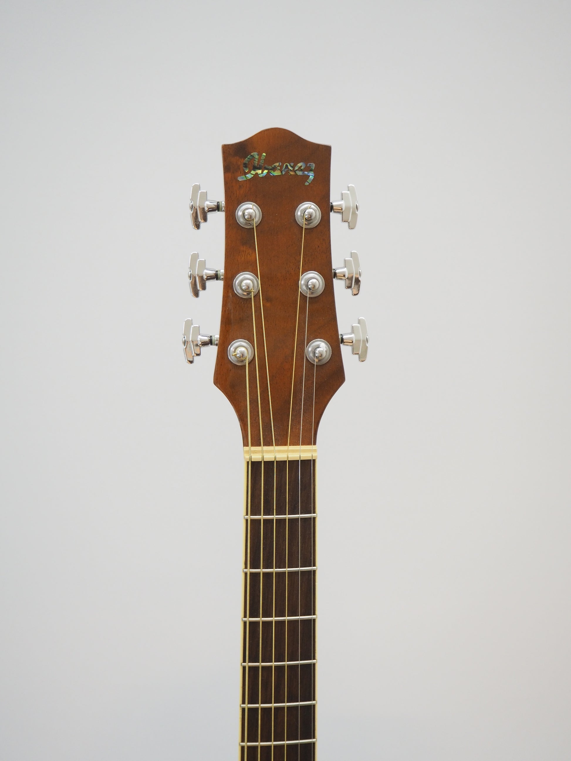 【Ibanez】EW 20KOENT1201