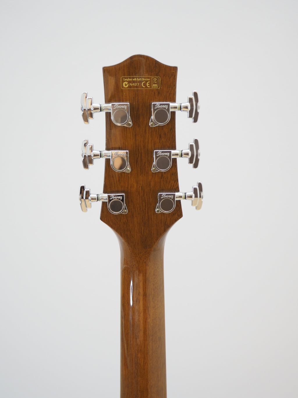 【Ibanez】EW 20KOENT1201